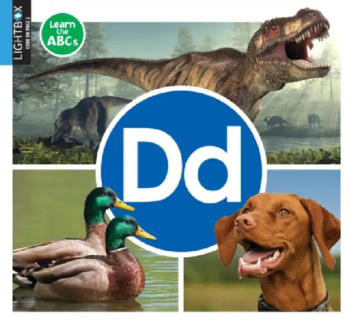 DD by Warren Rylands