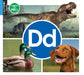 DD by Warren Rylands