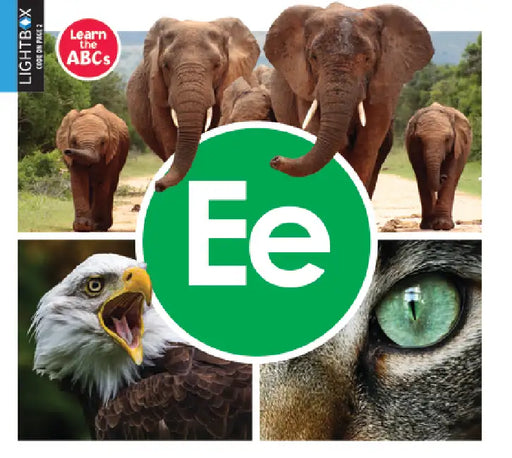 Ee by Warren Rylands, Katie Gillespie
