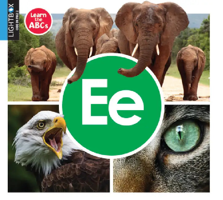 Ee by Warren Rylands, Katie Gillespie