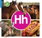 Hh by Warren Rylands, Samantha Nugent
