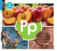 Pp by Warren Rylands, Eric Doty