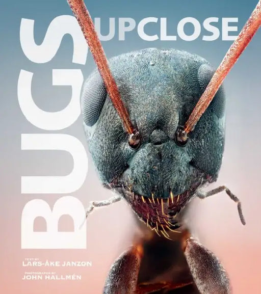 Bugs Up Close: A Magnified Look at the Incredible World of Insects by Lars-Åke Janzon, John Hallmén