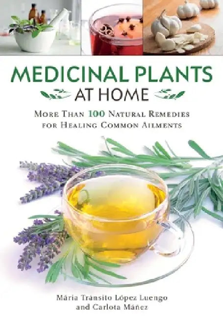 Medicinal Plants at Home: More Than 100 Natural Remedies for Healing Common Ailments by María Tránsito López Luengo