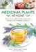Medicinal Plants at Home: More Than 100 Natural Remedies for Healing Common Ailments by María Tránsito López Luengo
