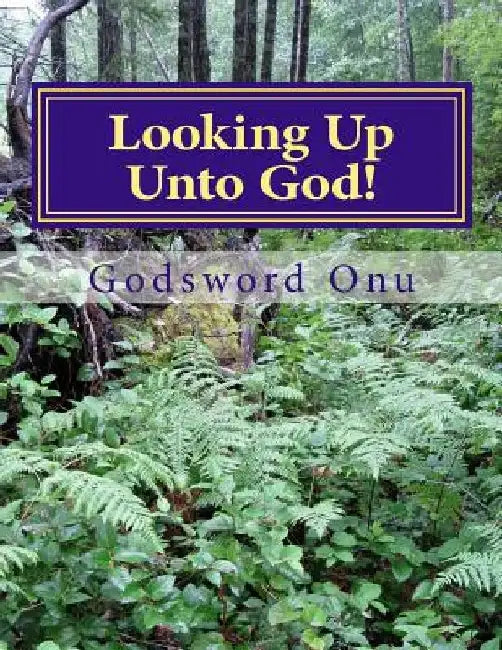 Looking Up Unto God!: Putting Your Trust and Focus On the Almighty by Godsword Godswill Onu