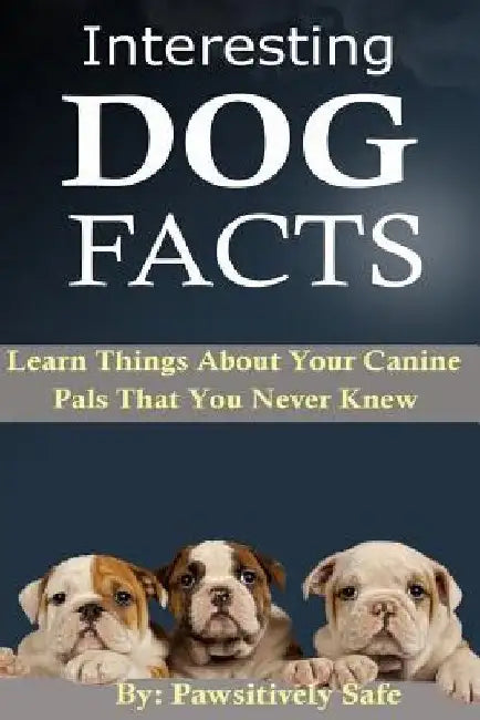 Interesting Dog Facts: Learn Things About Your Canine Pals That You Never Knew by Pawsitively Safe
