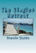 The Singles Retreat by Brandie Stubbs