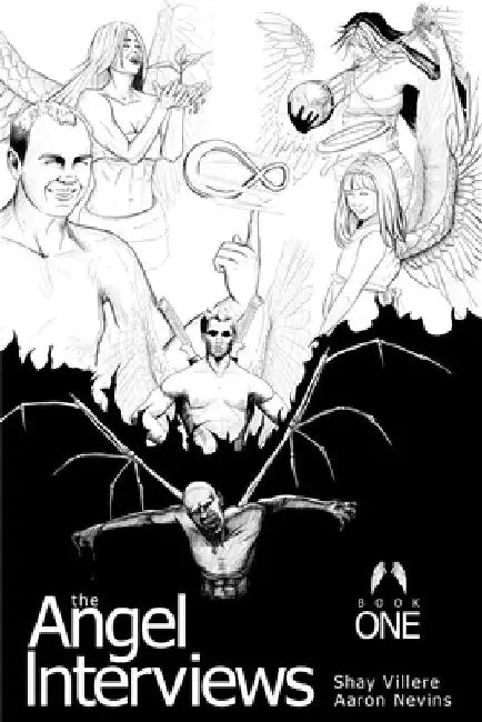 The Angel Interviews by Aaron Nevins