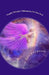 Angelic Melodies: Affirmations For Your Soul by Diana Morrison