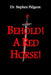 Behold! A Red Horse! by Stephen Pidgeon