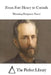 From Fort Henry to Corinth by The Perfect Library