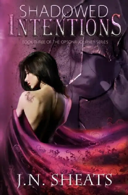 Shadowed Intentions by J. N. Sheats