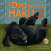A Dog Named Haku: A Holiday Story from Nepal by Margarita Engle