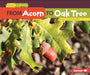 From Acorn to Oak Tree by Carlson-Berne, Emma
