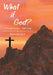 What if God?: A Personal Devotion / Bible Study by Mitch Woodard