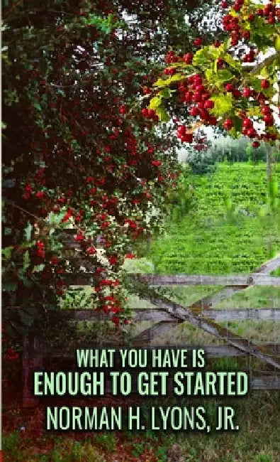 What You Have Is Enough To Get Started by Norman H., Jr. Lyons