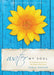 Water My Soul: Ninety Meditations from an Old Order Mennonite by Darla Weaver