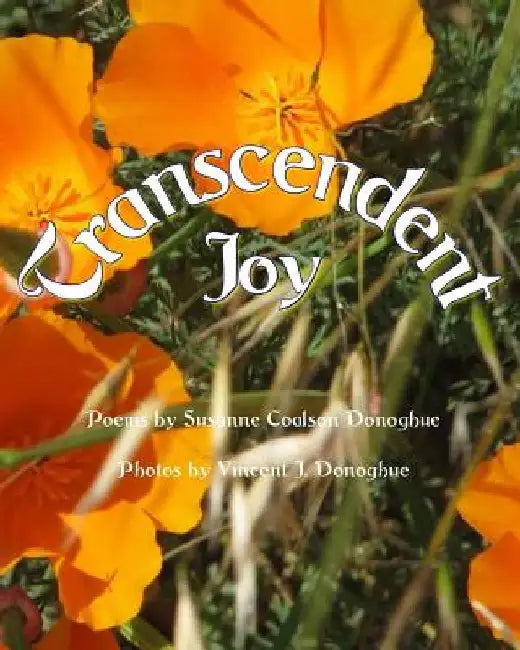 Transcendent Joy by Vincent J. Donoghue