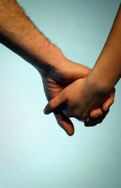 A French Liaison by L. J. Paine