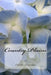 Country Plains by Dorita Lynn Kornelsen