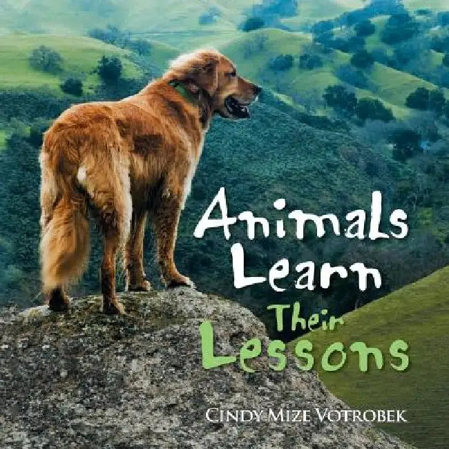 Animals Learn Their Lessons by Cindy Mize Votrobek