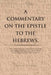 A Commentary on the Epistle to the Hebrews.: With a Verse by Verse Exegesis of the Greek Text for a Better Understanding of Theological Issues Confron by Graham Diggins