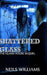 Shattered Glass by Neils Williams