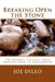 Breaking Open the Stone: The Heroic Passage from Adolescence to Adulthood by Joe DiLeo