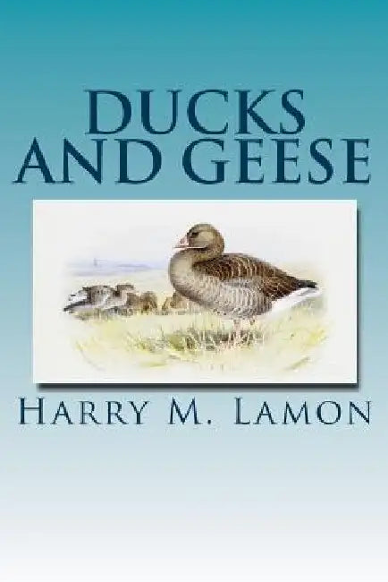 Ducks and Geese by Rob R. Slocum