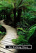 My Walking Diary by Tom Alyea