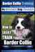 Border Collie Training Dog Training with the No BRAINER Dog TRAINER We Make it THAT Easy!: How To EASILY TRAIN Your Border Collie by Paul Allen Pearce