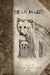 Bear Maze! by Jude Fawley