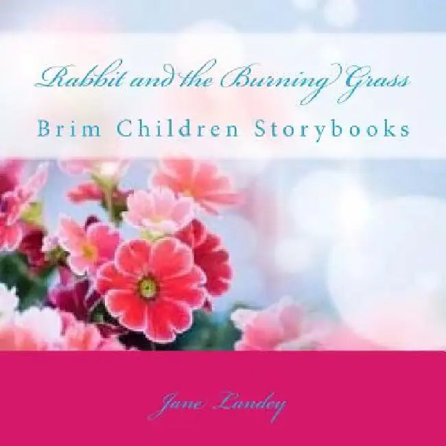 Rabbit and the Burning Grass: Brim Children Storybooks by Jane Landey