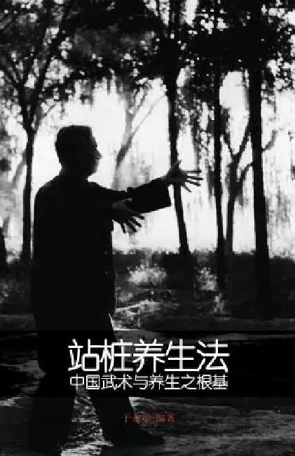 Zhan Zhuang by Yu, Dr Yong Nian