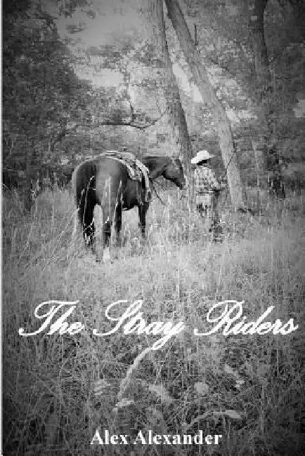 The Stray Riders by Alex Alexander