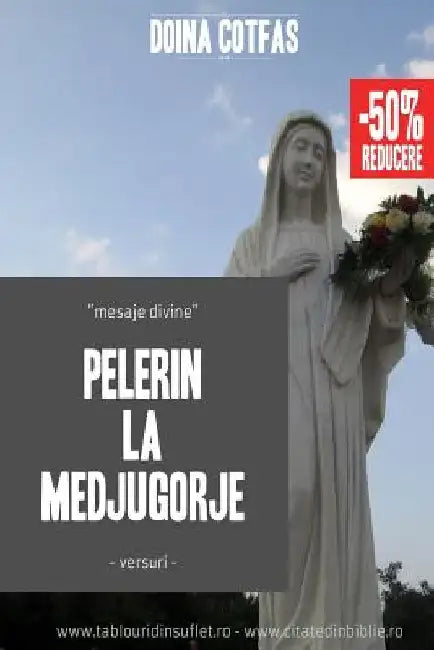 Pelerin La Medjugorje: Mesaje Divine by Cotfas, Doina