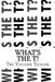 What's The T?: What's The T? by Tre' Vaughn Taylor