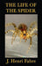 The Life of the Spider by J. Henri Fabre