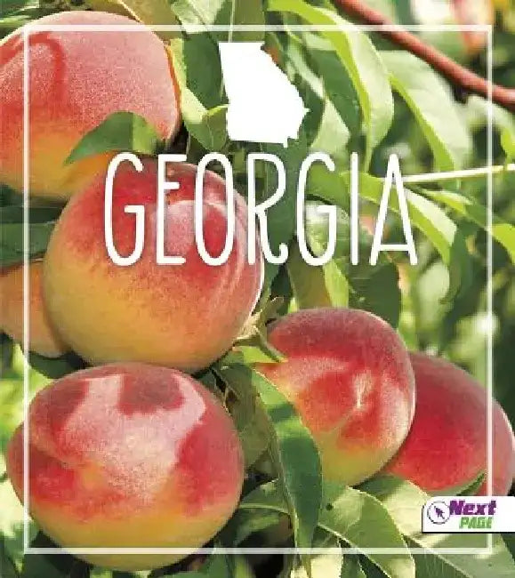 Georgia by Jason Kirchner