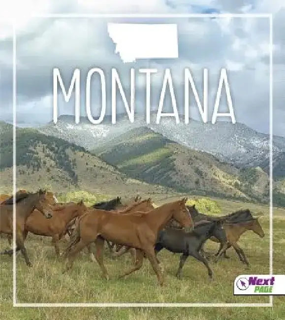 Montana by Jordan Mills