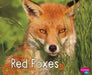 Red Foxes by G. G. Lake