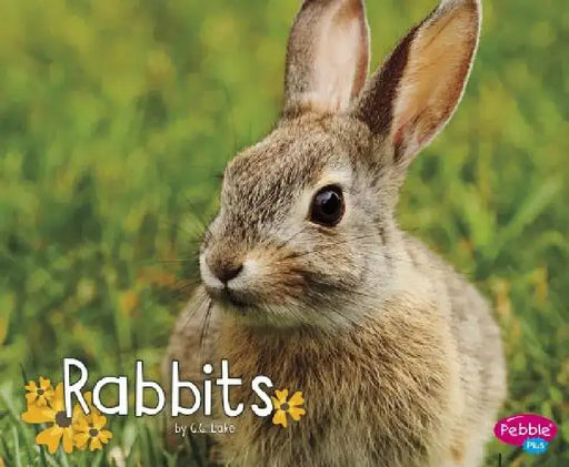 Rabbits by G. G. Lake