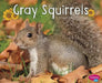 Gray Squirrels by G. G. Lake