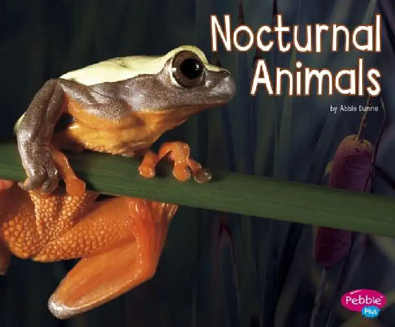 Nocturnal Animals by Abbie Dunne
