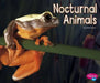 Nocturnal Animals by Abbie Dunne
