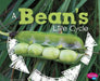 A Bean's Life Cycle by Mary R. Dunn