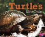 A Turtle's Life Cycle by Mary R. Dunn