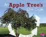 An Apple Tree's Life Cycle by Mary R. Dunn