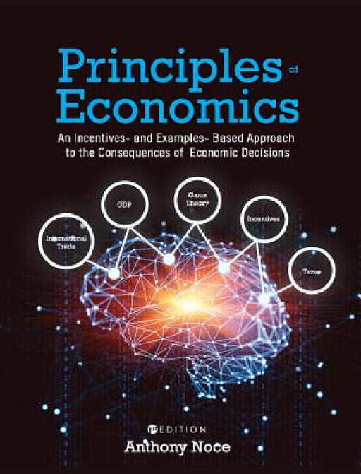 Principles of Economics: An Incentives- And Examples-Based Approach to the Consequences of Economic Decisions by Anthony Noce